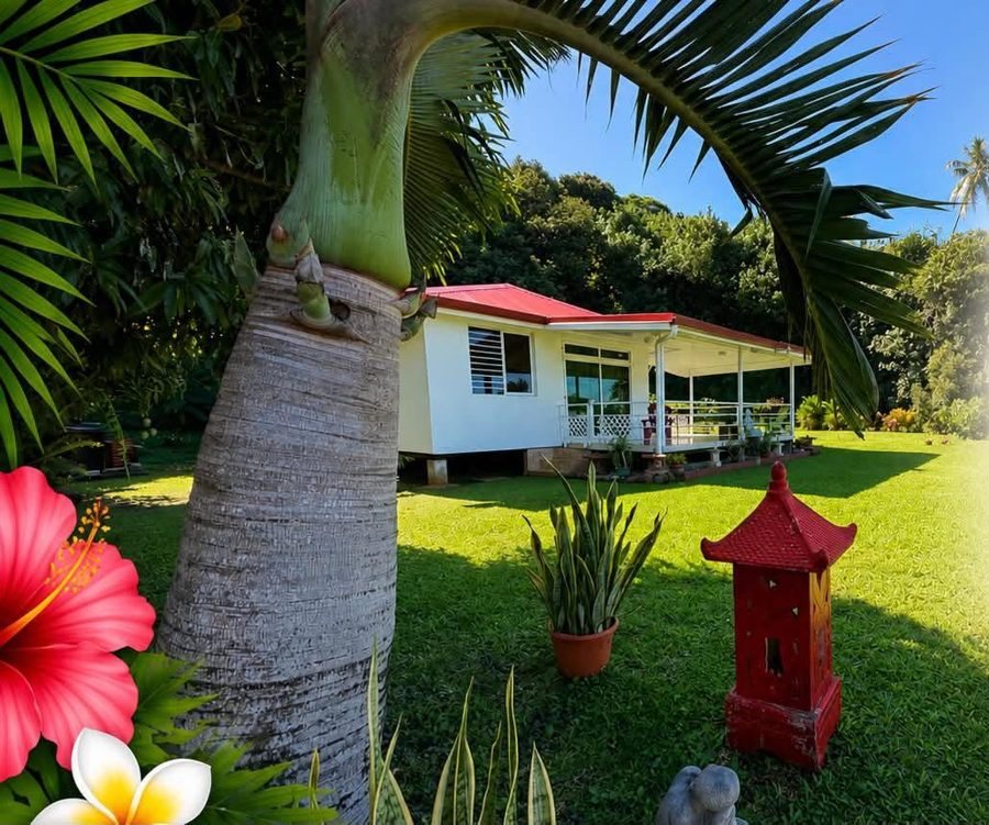 Le jardin, un palmier et le bungalow en arrière-plan